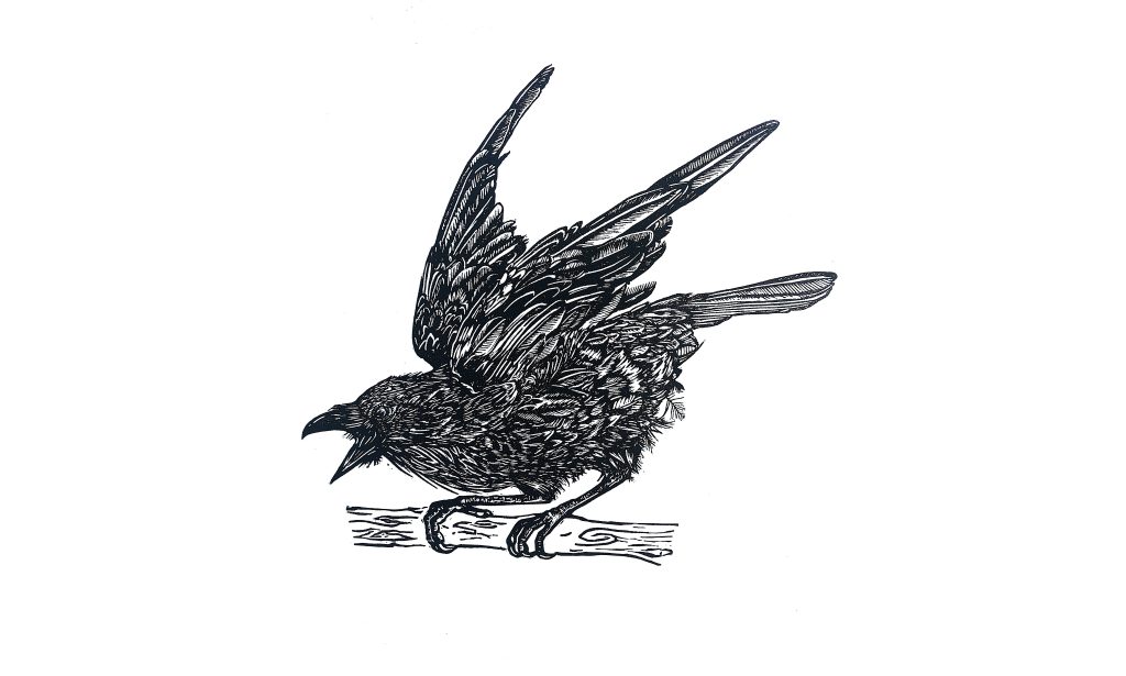 Raven linocut