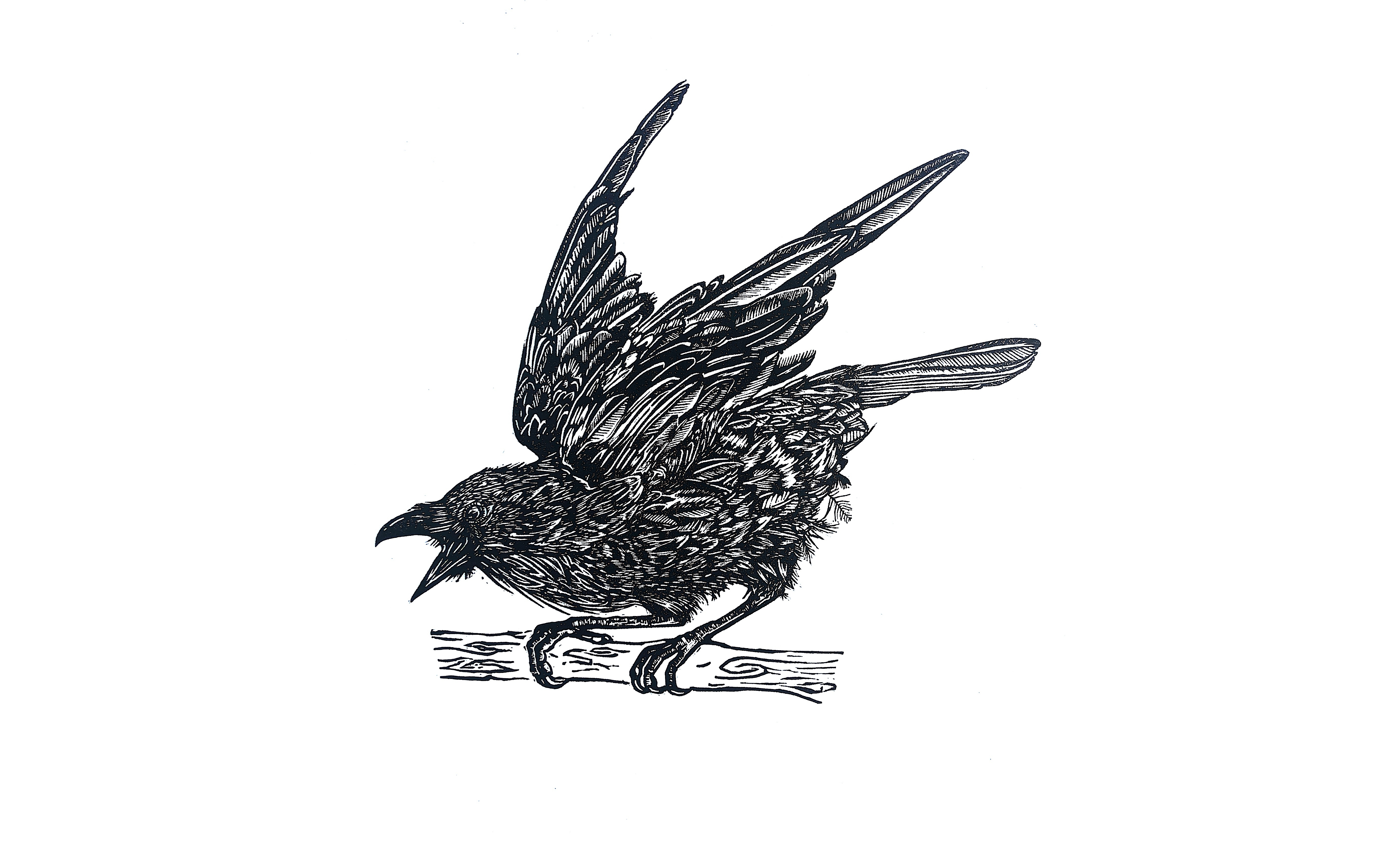 Raven linocut